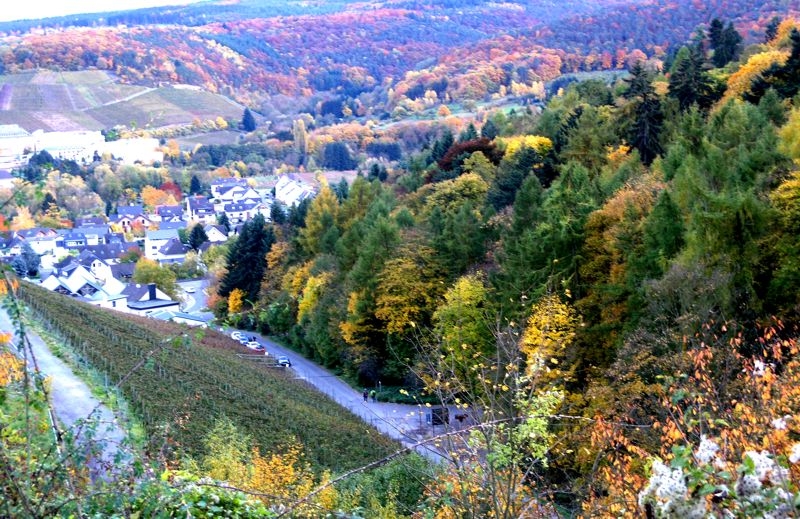 Herbst in der Dokumentationssttte Regierungsbunker Ahrweiler