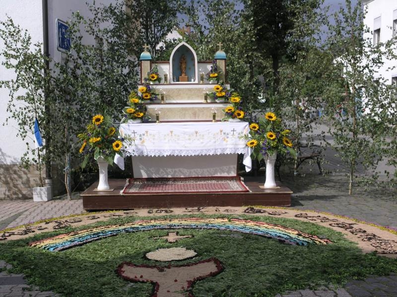 P6238811
