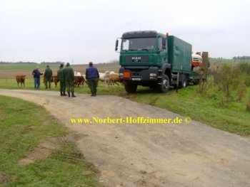 Kurz vor dem Abtransport