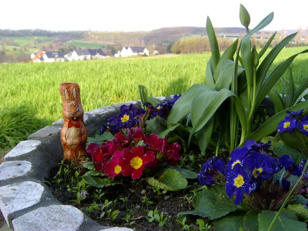 Ein Osterblick auf Grafschaft Bengen